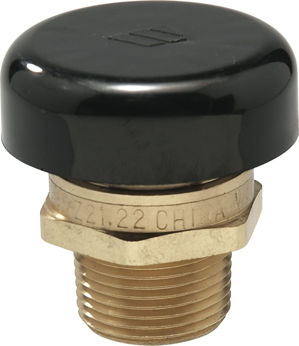 WATTS® 556031 Lfn36 Series Vacuum Relief Valve - 3/4 In Mpt, 200 Psi