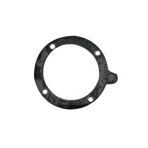 Lochinvar® 100208101 Gasket