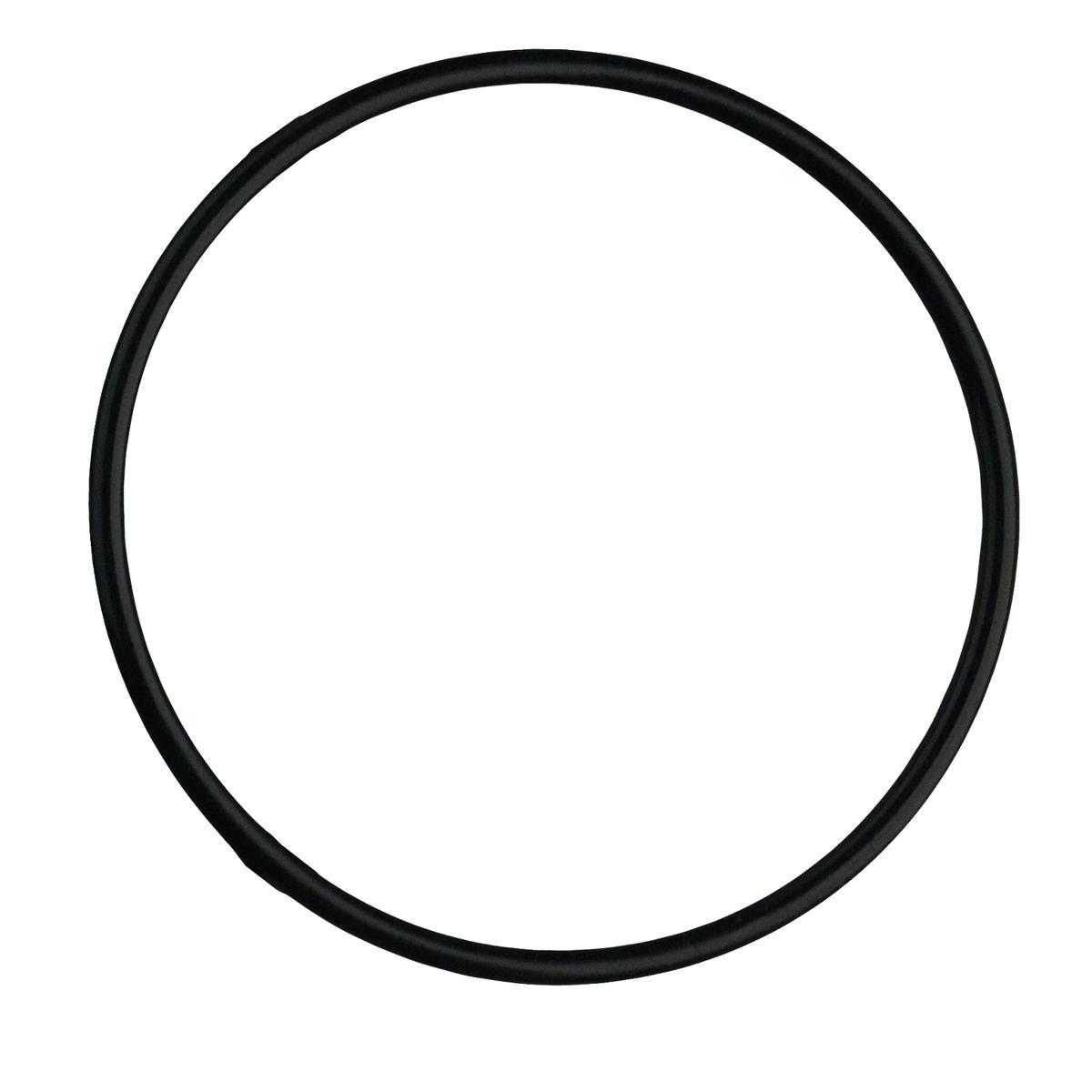 WATTS® 7300398 O-Ring